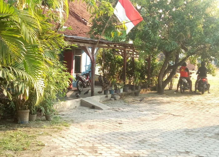 Parah! Diduga Jual Miras di Dalam Sekolah di Cirebon Timur, Terjadi di Rumah Inventaris SDN 2 Mertapada Kulon
