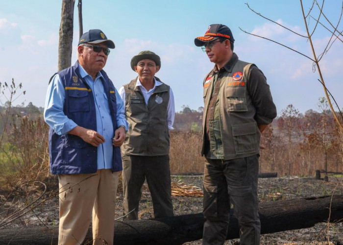 Zona Inti IKN Dijaga Ketat dari Ancaman Kebakaran Hutan dan Lahan