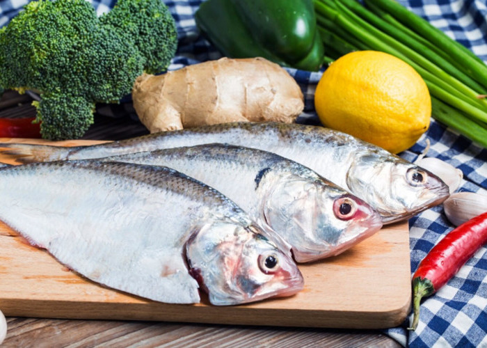 Tubuh Mudah Lelah? Ini 7 Makanan Kaya Zat Besi untuk Atasi Anemia Secara Alami