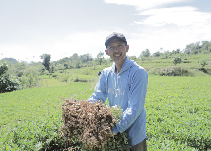 Desa BRILiaN Tompobulu: Bukti Nyata Sinergi Potensi Lokal dan Digitalisasi Dorong Pertumbuhan Ekonomi 