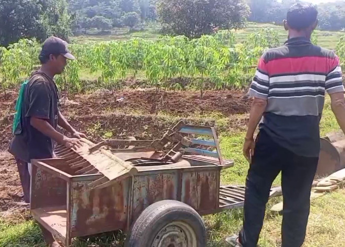 2 Mesin Traktor Digondol Maling, Petani Bingung Bibit Padi Siap Tanam