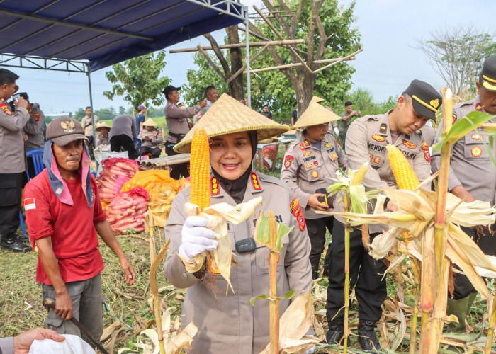  Panen Raya Jagung Ketahanan Pangan Dalam Rangka Mendukung Program Asta Cita