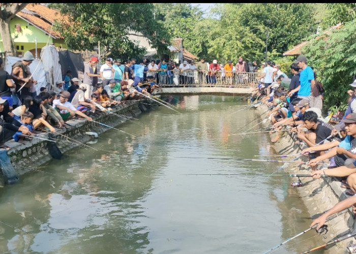 Unik, Relawan Rayakan Kemanangan Prabowo-Gibran Dengan Lomba Mancing Ikan Lele