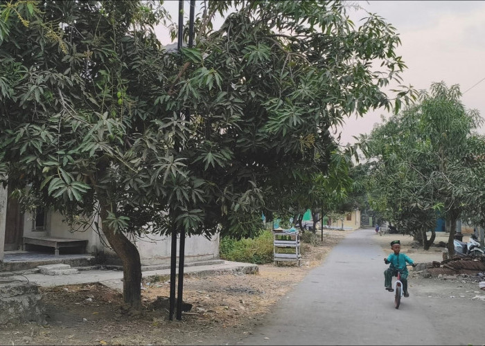 Warga Rawaurip Cirebon Protes Tiang WiFi Dipasang di Depan Rumah Tanpa Izin, Minta Dicabut