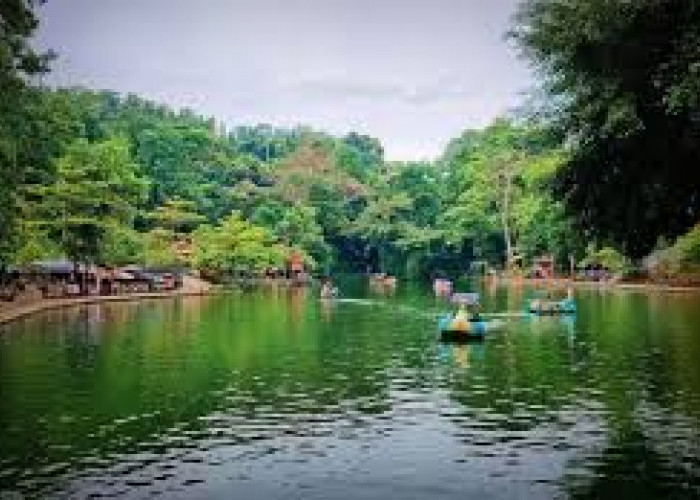 MAJALENGKA MENDUNIA!!Wisata Danau Situ Cipanten: Surga Dunia untuk sebuah Ketenangan di Tengah Kesibukan