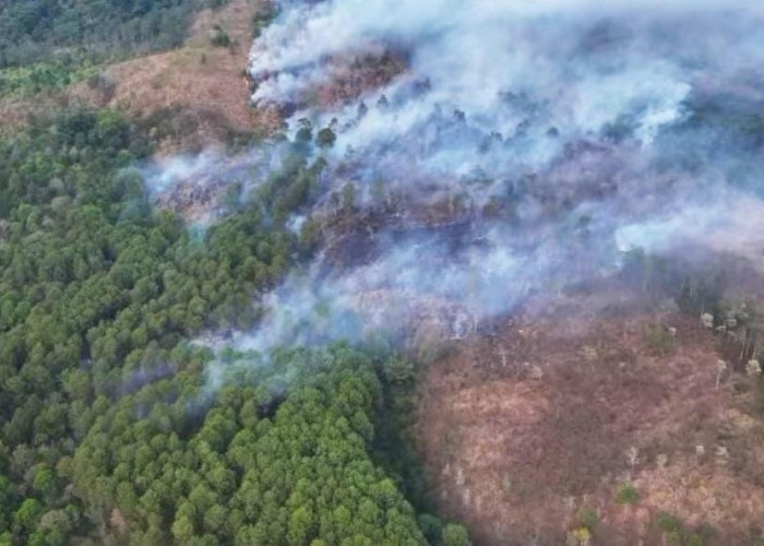 Karhutla Gunung Ciremai Hanguskan 60 Hektare Lahan, Medan Terjal dan Krisis Air Jadi Kendala Pemadaman