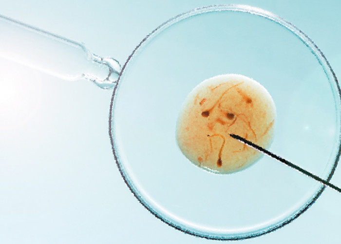 8 Manfaat Sperma Bagi Perempuan, Kandungan di Dalamnya Ternyata Bikin Melongo