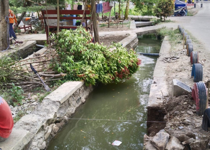 Pokdarwis Kliwed Kecam Perusakan Wisata Anjreman, Sejumlah Pohon Ditebang Tanpa Koordinasi