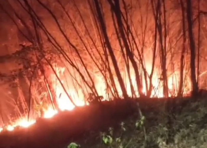 Kebakaran Lahan di Perbatasan Belawa-Cipeujeh Kembali Membesar, Warga Khawatir Api Merembet ke Permukiman