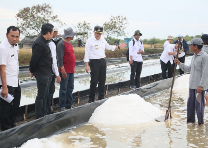 Pemkab Cirebon Terus Dorong Pengembangan Garam Industri