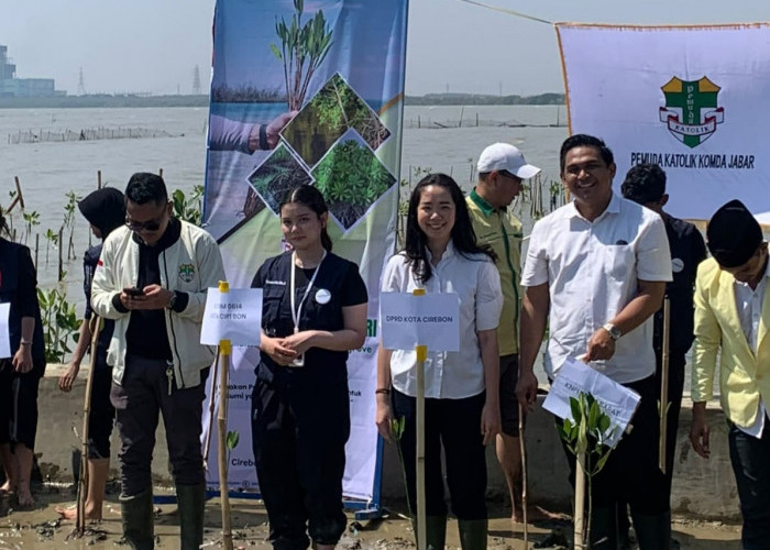 Tanam 500 Mangrove di Pesisir Cirebon, Laurentia Mellynda: Jangan Berhenti di Seremoni