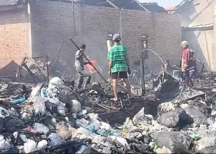 Gudang Limbah Plastik di Desa Kaliwedi Terbakar, 4 Ekor Kambing Ikut Terpanggang