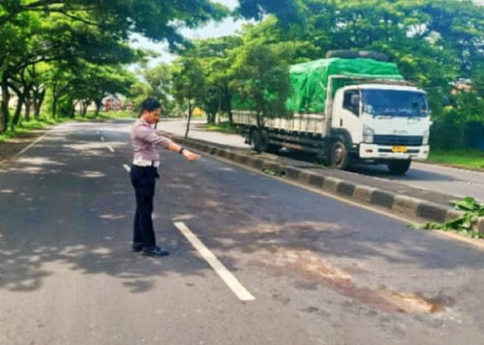 2 Orang Meninggal Kecelakaan di Pantura Cirebon, Salah Satunya PNS