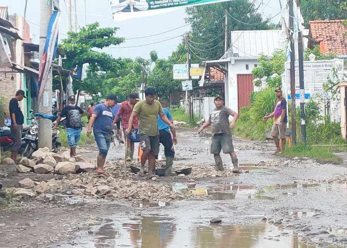 Jalan Kalisari-Ambulu Rusak Parah, Warga Inisiatif Urug dengan Material Batu Secara Swadaya