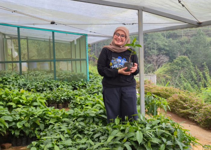 Kopi dari Lereng Ciremai Diam-diam Mendunia, 28 Negara Siap Pesan Produknya