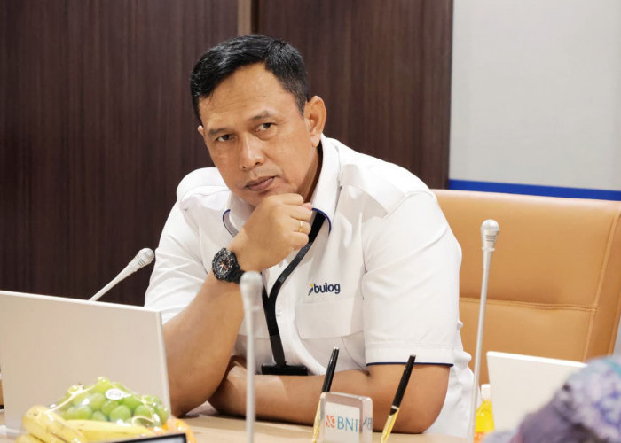 Jaga Stasbilitas Harga Beras, Pemerintah Sudah Salurkan 388,3 Ribu Ton Beras SPHP