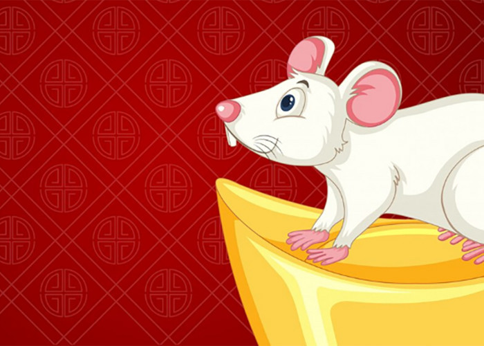 Ramalan Shio Tikus 2026 Lengkap: Transformasi Cepat di Bawah Energi Kuda Api