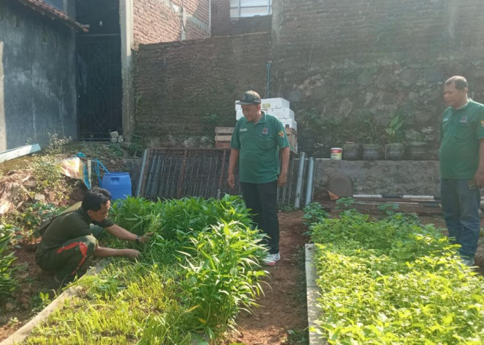 Muhammad Yani, Petani Perkotaan Sukses Manfaatkan Pekarangan Menjadi Pertanian Terpadu