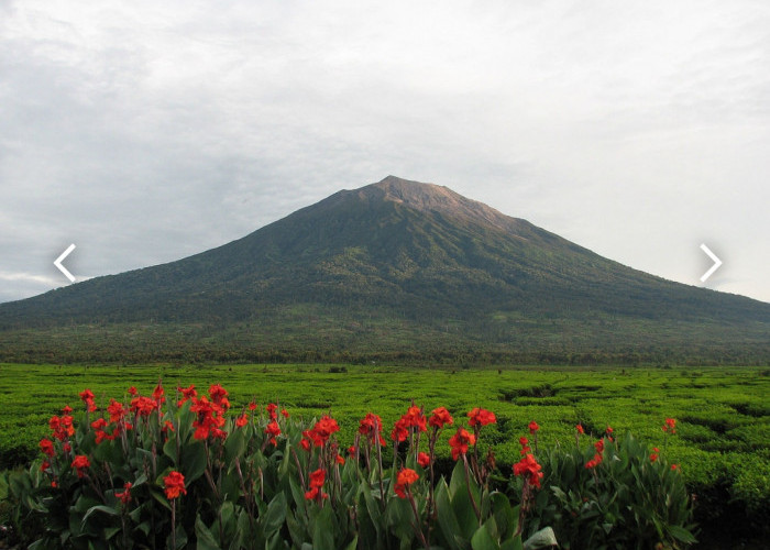 Gunung Kerinci Erupsi, Keluarkan Abu Vulkanik Tebal Kecoklatan 