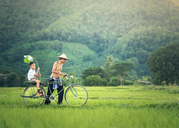 Fenomena Fatherles di Indonesia Jadi Sorotan, Pemerintah Dorong Gerakan Ayah Mengambil Rapor