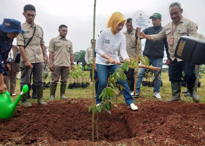 Program Tanam 1000 Pohon Buah, Atalia Ridwan Kamil Diapresiasi Ibu Negara 
