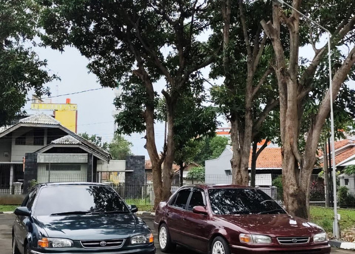 7 Pilihan Mobil Sedan Murah untuk Perkotaan, Mulai dari Rp40 Jutaan Dapat Motuba Irit BBM dan Masih Clean!