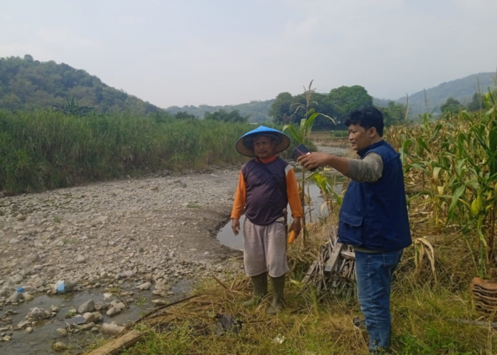 Abrasi Sungai di Cibodas Majalengka Ancam Sawah dan Keselamatan Warga, Ini Harapan Masyarakat