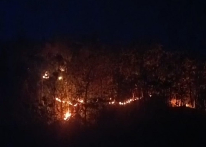 Hutan Manengteung di Cirebon Terbakar, Api Lahap Sekitar 1 Hektare di Medan Curam