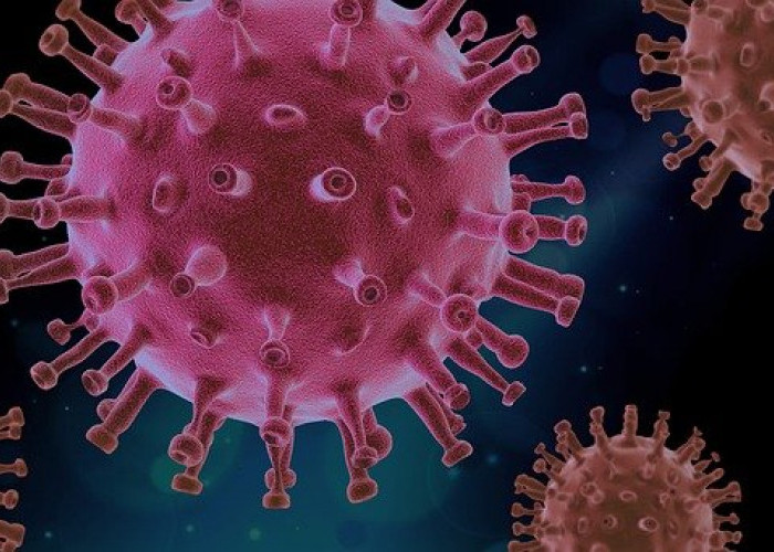 Pandemi Covid-19 Dicabut, Vaksin dan Perawatan Pasien Bayar Sendiri