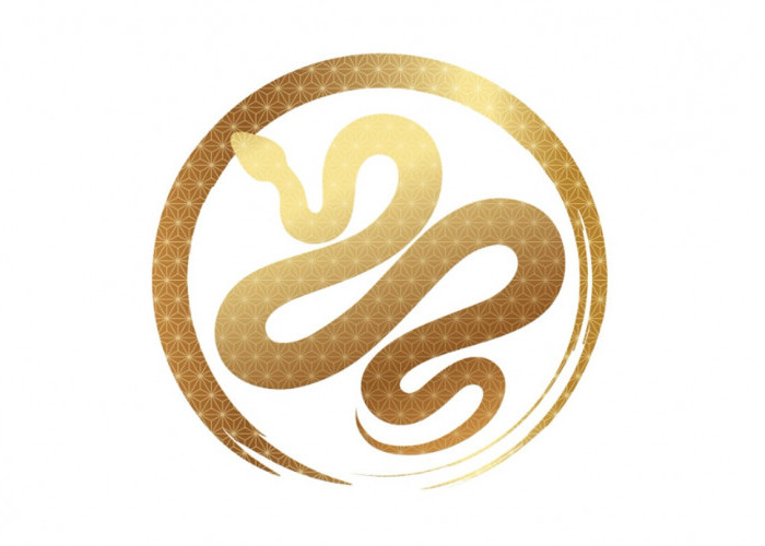 Berani Bergerak! Ramalan Shio Ular 2026 Lengkap dan Tips Sukses di Tahun Kuda Api