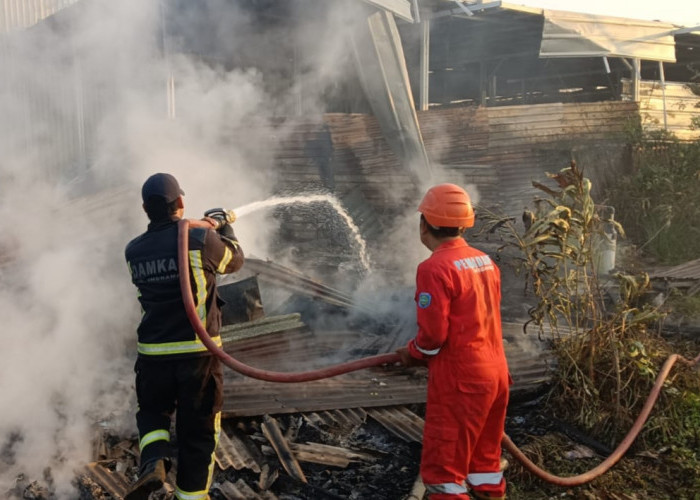 Bakar Sampah Sembarangan Picu Kebakaran Warung di Kandanghaur, Kerugian Capai Rp24 Juta