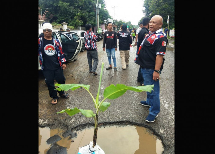 Warga Karangwareng Protes Jalan Rusak, Tanam Pohon Pisang di Jalan Berlubang