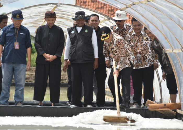 Pj Bupati Cirebon Panen Garam di Losari, Ini Janjinya Kepada Petani