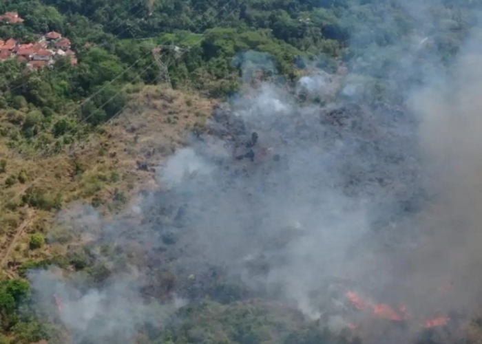 Karhutla Gunung Ciremai 2026 Hanguskan 14,9 Hektare, Area Reboisasi Ikut Terancam