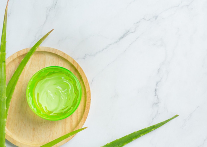 Wajah Glowing Hanya dengan Lidah Buaya! 6 Rahasia Masker Ini Bikin Kulit Kamu Mulus
