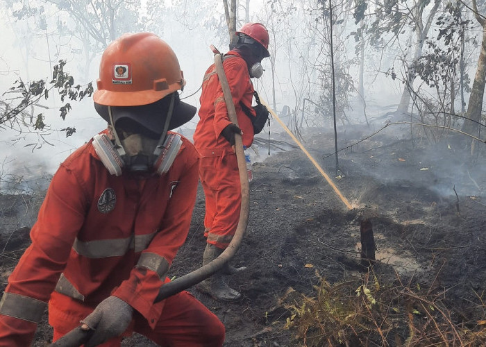 Pemerintah Terapkan Modifikasi Cuaca dan Tambah Armada Udara Atasi Kebakaran Hutan Kalimantan
