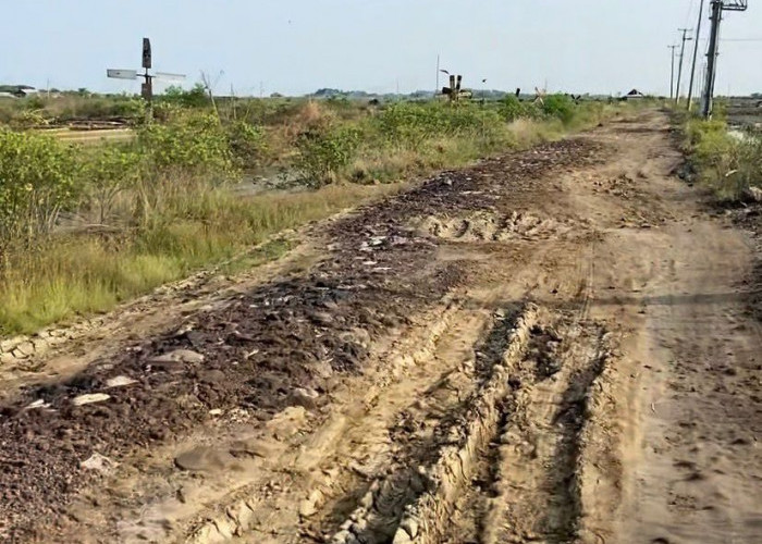 Sentra Garam Terbesar Jawa Barat Terhambat Infrastruktur, Jalan 8 Kilometer Belum Pernah Diaspal