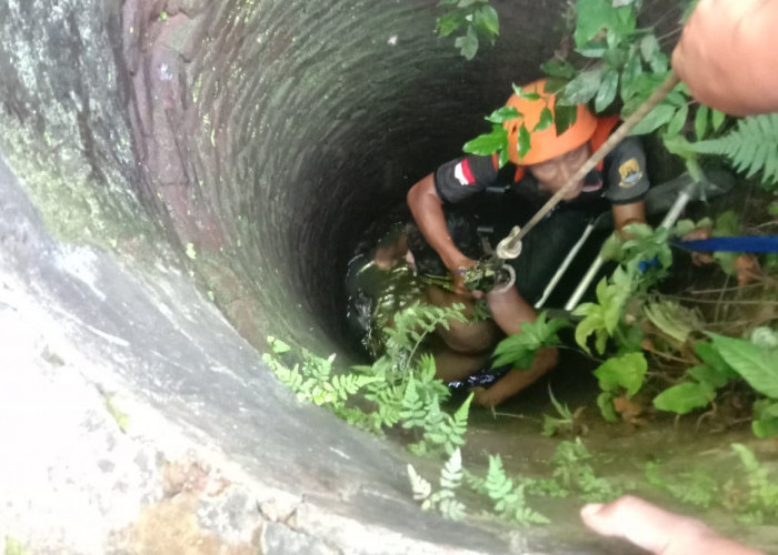 Kejar Burung, Warga Depok Tercebur Sumur Sedalam 10 Meter