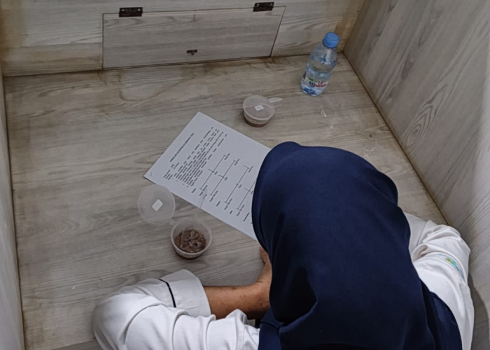 Mahasiswa Prodi Gizi Cirebon Rintis Usaha Pangan Fungsional Slimly Casava Powder