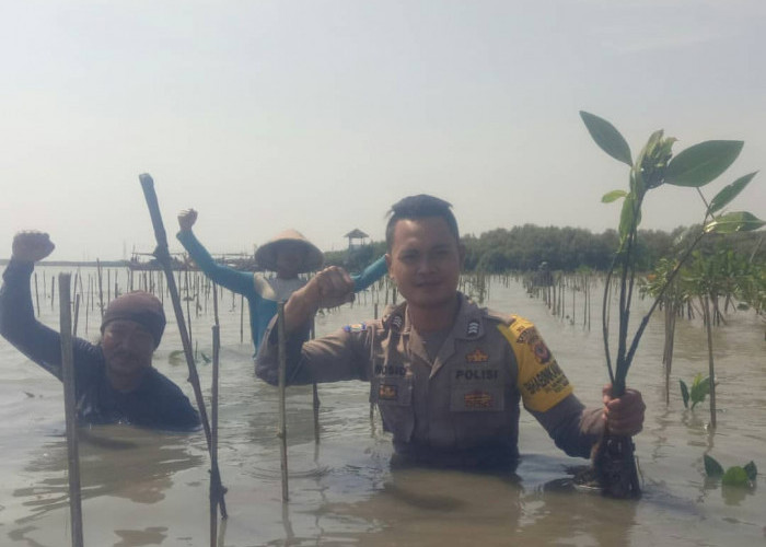 Tanam 100 Bibit Mangrove di Mundu Pesisir, Bhabinkamtibmas Ajak Warga Jaga Pantai dari Abrasi