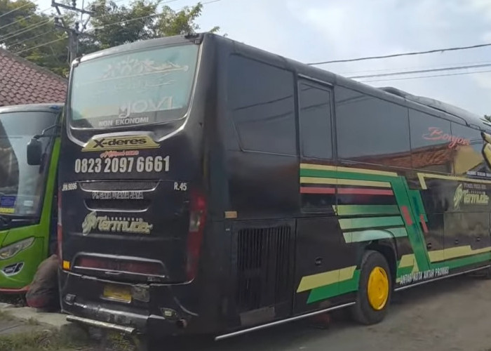 Bus Luragung Cirebonan Identik dengan Nama Si Randu, Montel, Galaxy, Ternyata Trik Marketing!