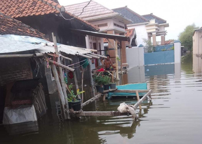 Peradaban Desa Ambulu Losari Bisa Hilang, Efek Global Warming Hantui Warga