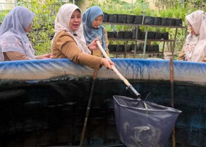 Kembangkan Budidaya Udang Vaname, Upaya Kembalikan Julukan Kota Udang