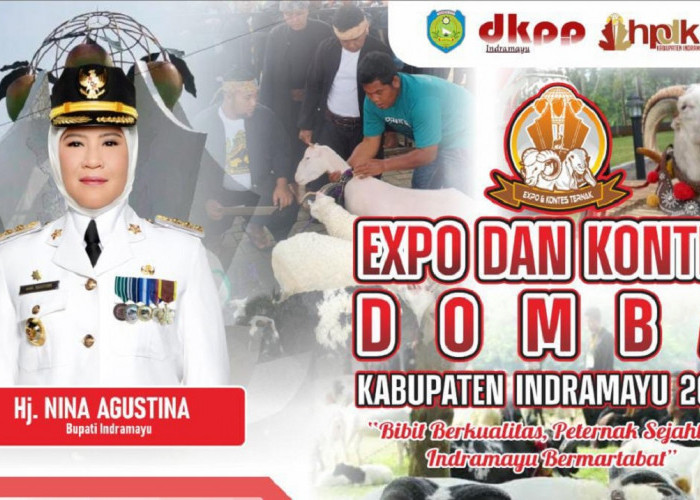 Expo dan Kontes Domba Indramayu 2024 se-Jawa Barat: Pendaftarannya Masih Dibuka, ini Detailnya! 