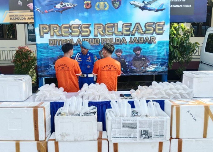 Ditpolairud Polda Jabar Tangkap Dua Pelaku Penyelundupan Benih Lobster