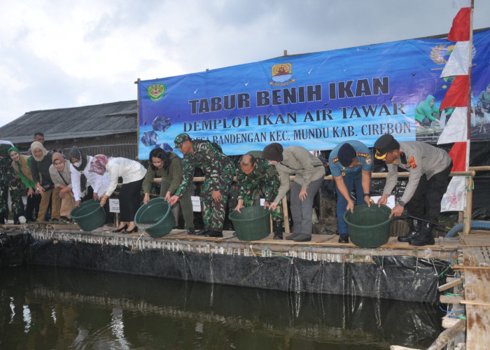 Pangdam III-Siliwangi Tabur Benih Ikan di Desa Bandengan Cirebon, Wabup Ayu Bilang Begini