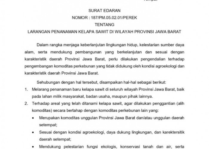 Heboh! Ribuan Tanaman Sawit Ditemukan di Desa Cigobang, Ini Sikap Pemkab Cirebon