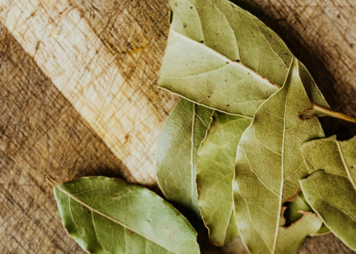 Khasiat Air Rebusan Daun Salam, Solusi Herbal untuk Stres, Pegal, dan Gatal-Gatal