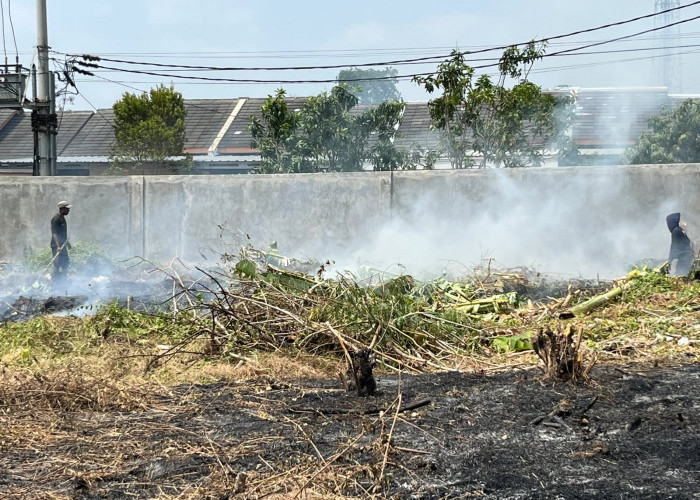 Asap Pekat Pembakaran Lahan Resahkan Warga Perumahan Griya Taman Suci