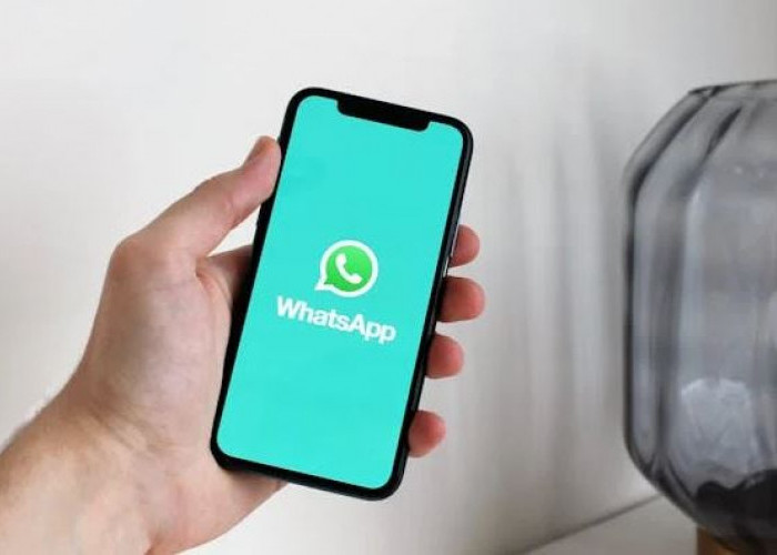 Ada 3 Cara Mengembalikan Pesan yang Sudah Terhapus Secara Permanen di WhatsApp